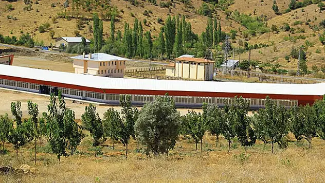 Hadim'de kiraz alım merkezi ihalesi yapıldı