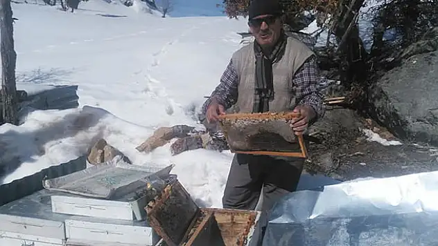 Hadimli arıcılar bahar bakımına başladı