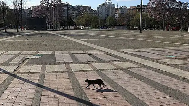 Hafta sonu kısıtlaması nasıl, hangi illerde olacak?