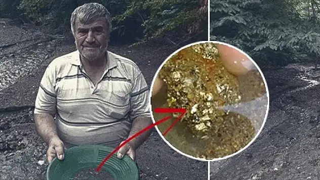 Haftada 13 gram altın çıkarıyor! Dereden gram gram altın topluyor