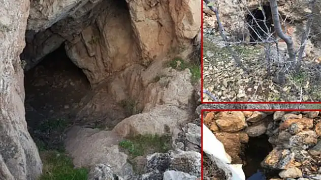 Hainlerin inlerinden bakın neler çıktı!