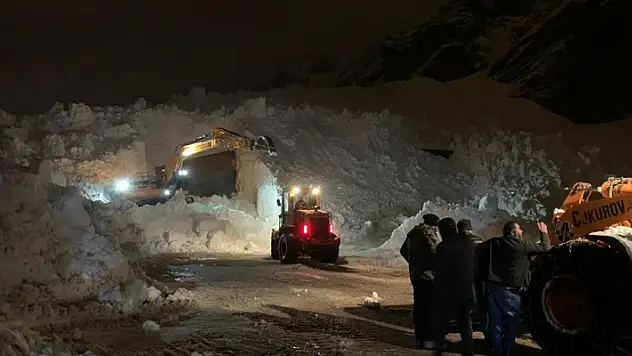 Hakkari-Çukurca karayoluna düşen çığlar ekipleri teyakkuza geçirdi
