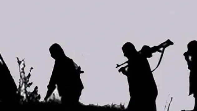 Hakkari'de iki PKK'lı teslim oldu