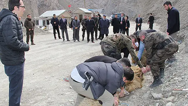 Hakkari'de terör operasyonu öncesi 'kurban' kesildi