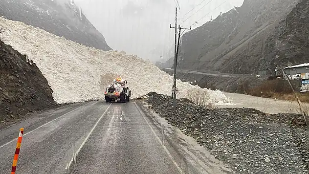 Hakkari-Şırnak yoluna çığ indi
