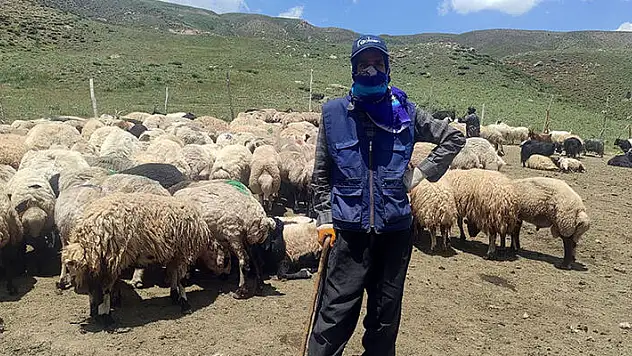 Hakkarililer, yerli bulamayınca 20 bin TL'ye İran'dan çoban getirdi
