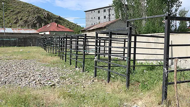 Hakkari'nin 3 ilçesinde bayram öncesi şap karantinası: Hayvan pazarları kapatıldı