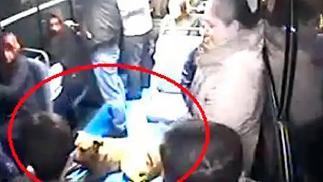 Halk otobüsüne binen köpeği gören vatandaşlar büyük panik yaşadı