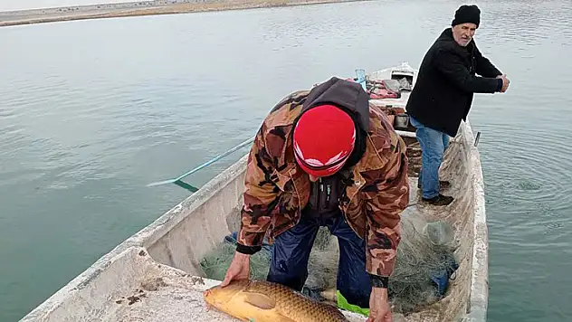 Halkapınar'da su ürünleri denetleniyor