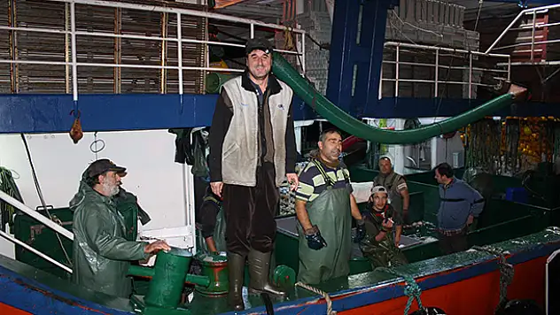 Hamsi Bolluğu Balıkçıların Yüzünü Güldürdü