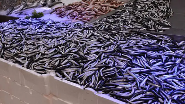 Hamsinin kilosu 12,5 liraya çıktı