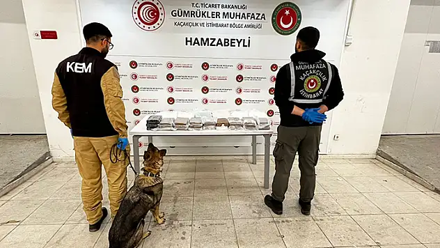 Hamzabeyli Gümrük Kapısı'nda, 103 milyon lira değerinde uyuşturucu ele geçirildi
