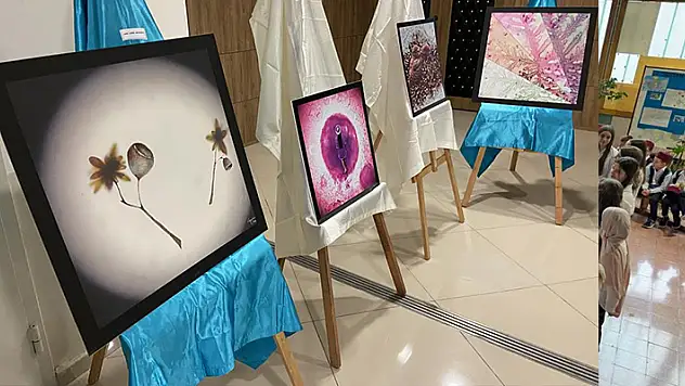 Hastalıklı dokular sanat eserine dönüştü
