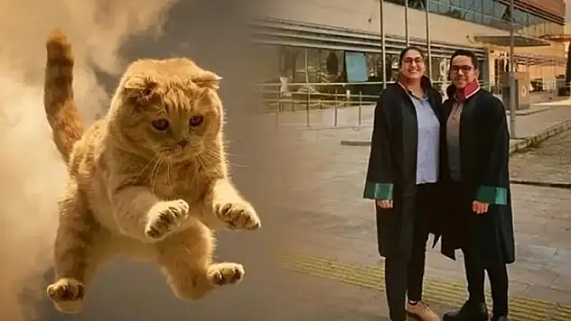 Hastanede üzerine 'kedi' düşen kadına 50 bin lira tazminat kararı