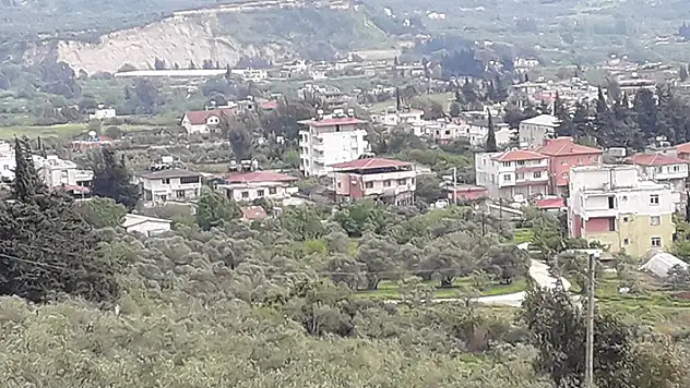 Hatay'da 2 mahalleye kuduz karantinası
