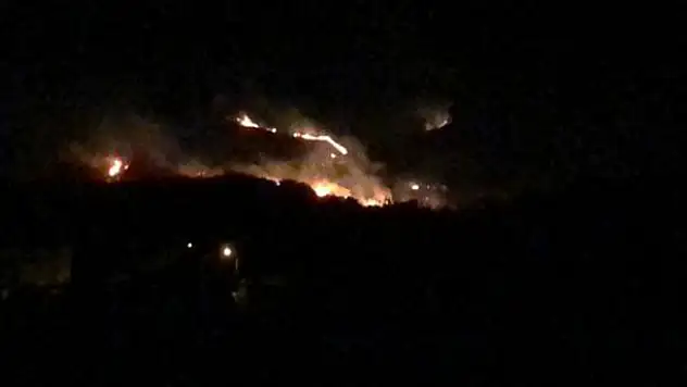 Hatay'da 4 ayrı noktada yangın