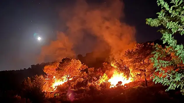 Hatay'da çıkan orman yangını söndürüldü
