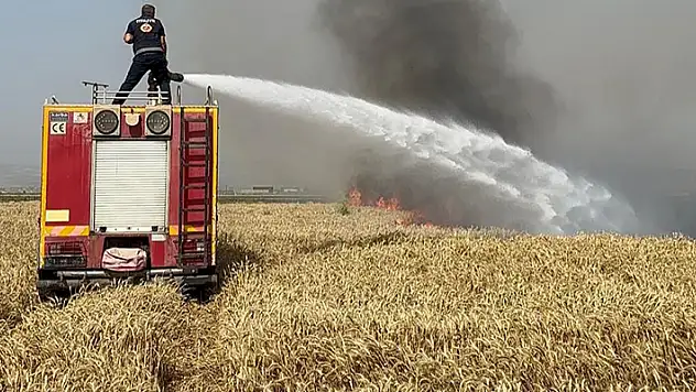 Hatay'da iki ayrı yangında 77 dönüm ekili buğday tarlası zarar gördü
