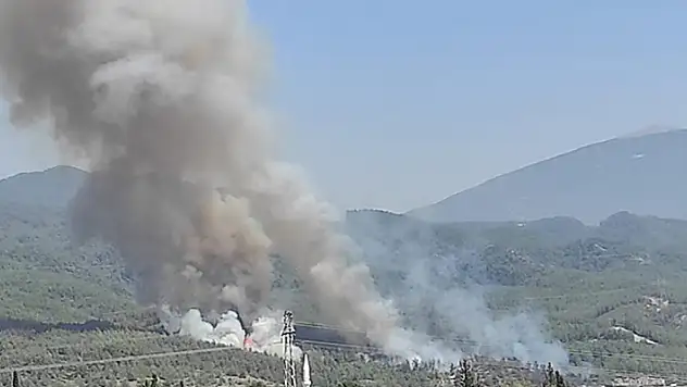 Hatay'da orman yangını çıktı
