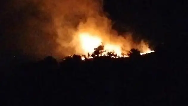 Hatay'da ormanlık alanda çıkan yangın söndürüldü
