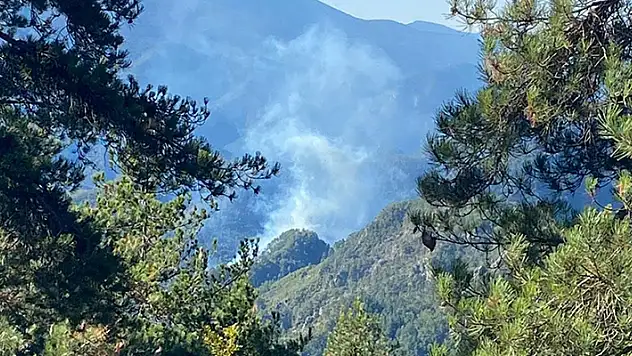Hatay'da ormanlık alanda çıkan yangına müdahale ediliyor
