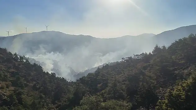 Hatay'da ormanlık alandaki yangına müdahale ediliyor

