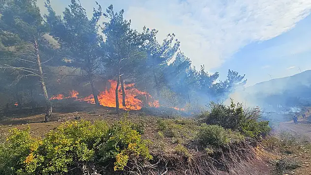Hatay'daki orman yangını, 20 saat sonra kontrol altına alındı
