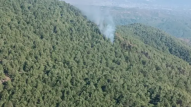 Hatay'daki orman yangını kontrol altına alındı
