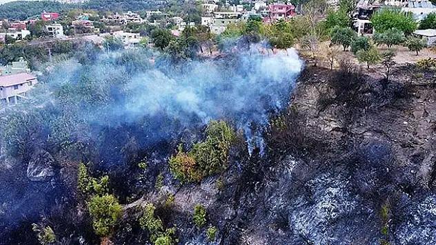 Hatay'daki orman yangınına müdahale sürüyor
