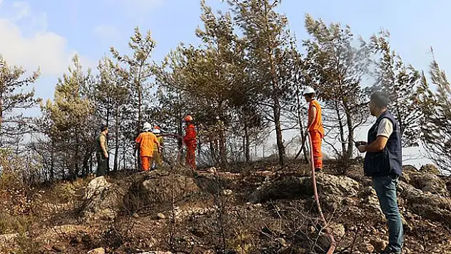 Hatay'daki yangında soğutma çalışmaları sürüyor