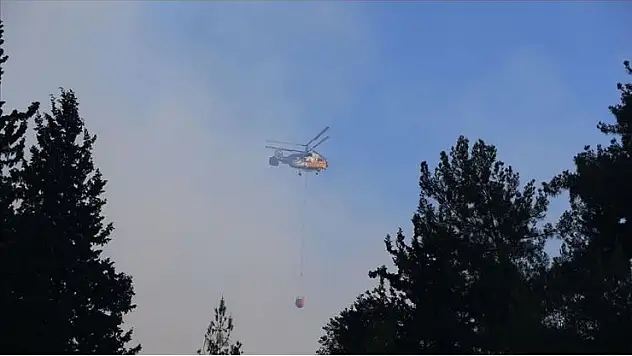 Hatay Dörtyol'daki orman yangınına müdahale sürüyor