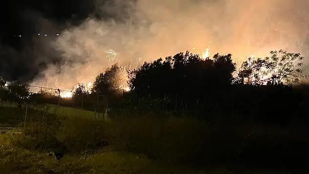 Hatay'da ağaçlık alanda çıkan yangın söndürüldü
