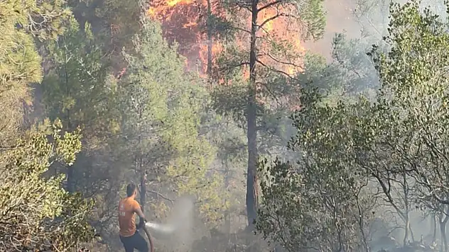 Hatay'da çıkan orman yangınına müdahale ediliyor