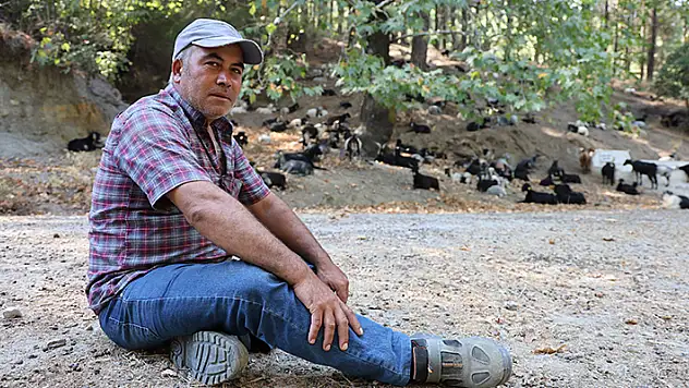 Hava durumunu keçilerden öğreniyor! 'Hiç boşuna şemsiye taşımadım'