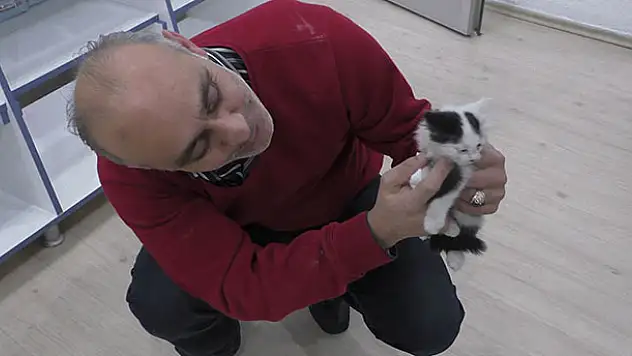 Havalandırma boşluğuna düşen yavru kediyi itfaiye kurtardı