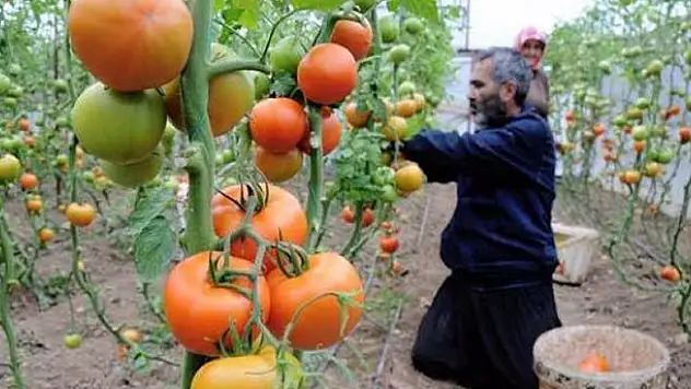Havalar soğudu, yüzde 50 zam geldi