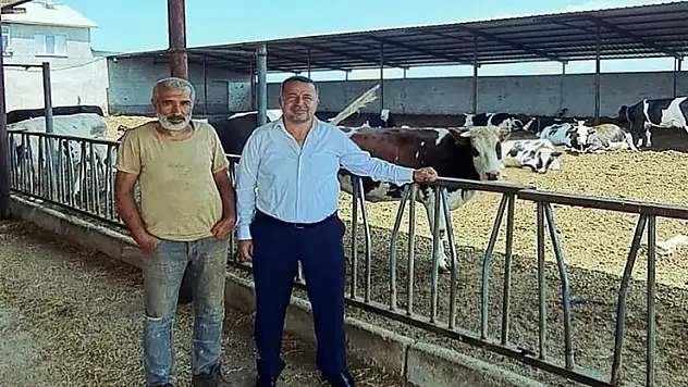Hayvan gübreleri tarım arazileri ve geri dönüşümde kullanılacak