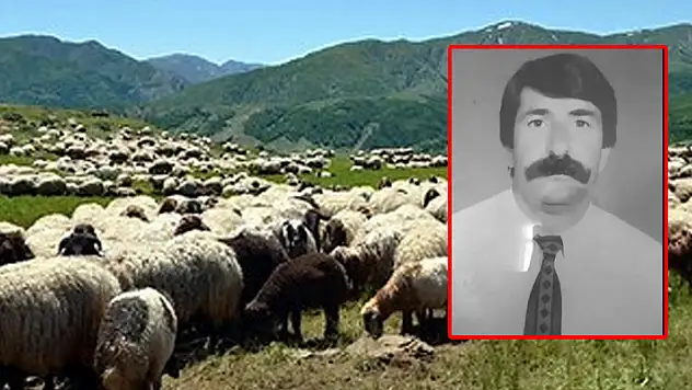 Hayvan otlatmak için gittiği merada ölü bılundu
