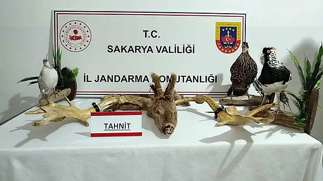 Hayvanat bahçesi gibi ev: Evinden çıkanlar hayrete düşürdü