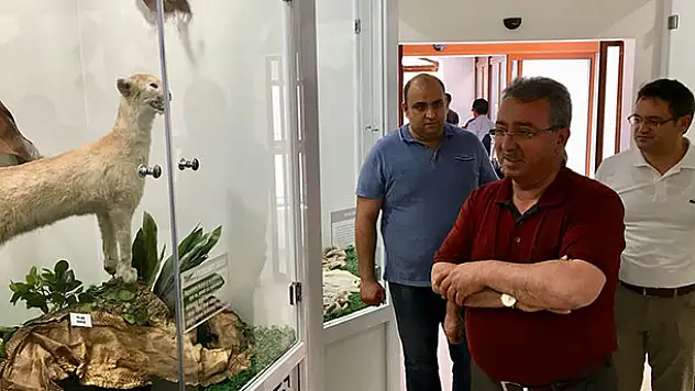 Hayvanat Bahçesi yeni hayvanlara ev sahipliği yapıyor