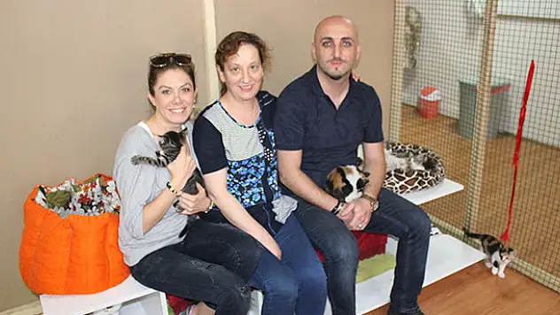 'Hayvanlar değil insanlar yoruyor'