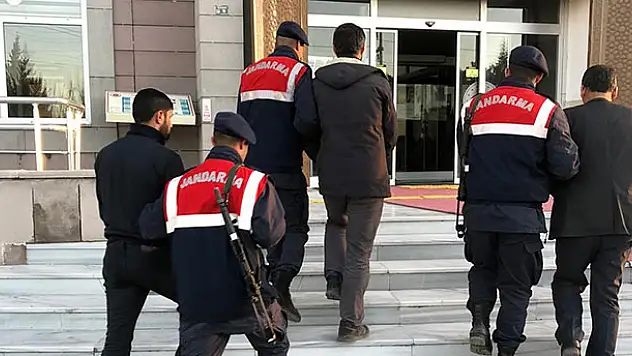 Hayvanları Konya'da çaldılar,  jandarmanın takibiyle Şanlıurfa'da yakalandılar