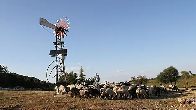 Hayvanların su ihtiyacı güneş ve rüzgar enerjisinden