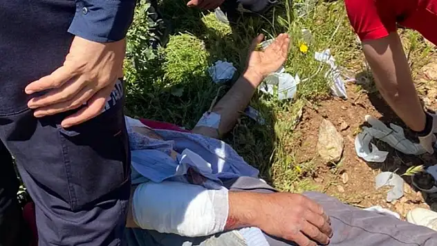 Hayvanlarını otlatırken ayının saldırdığı kişi yaralandı
