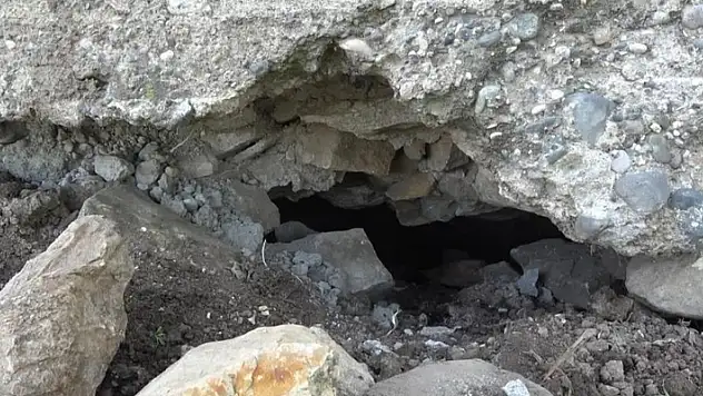 Hazine avcıları ahırdan tünel kazarak tümülüsün altını oydu
