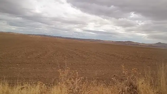 Hazineye ait Adana'nın Yumurtalık ilçesindeki 116 taşınmaz satılacak
