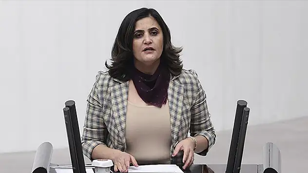 HDP Milletvekili Dirayet Dilan Taşdemir hakkında 'silahlı terör örgütü üyesi olmak' suçundan soruşturma başlatıldı