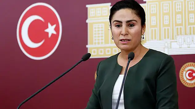 HDP Milletvekili Sürücü'ye hapis cezası