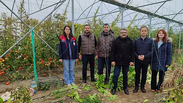 Hedef, Akşehir'de kiraz üretimini artırmak