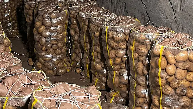 Hepsi geri gönderildi: Yurt dışından gelen 2 bin tondan fazla patates virüslü çıktı